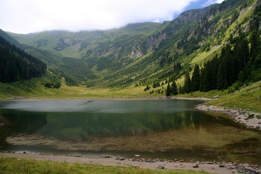 Residence Les Chardons Argentes 2 Samoens Exterior photo
