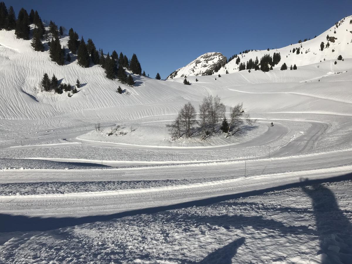 Residence Les Chardons Argentes 2 Samoens Exterior photo