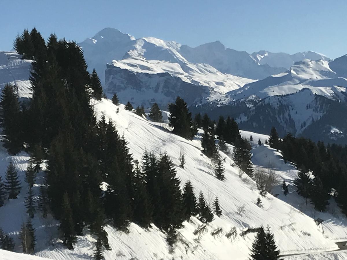 Residence Les Chardons Argentes 2 Samoens Exterior photo
