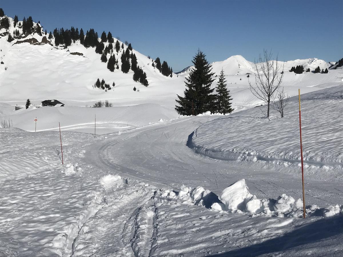 Residence Les Chardons Argentes 2 Samoens Exterior photo